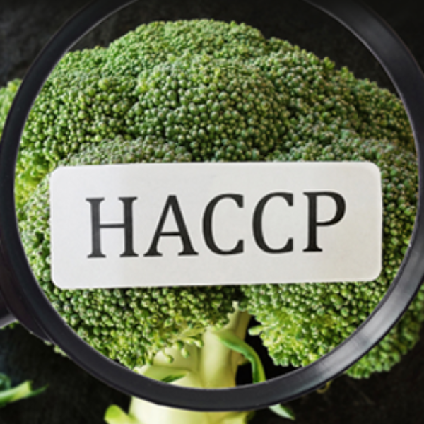 HACCP -ის სისტემა